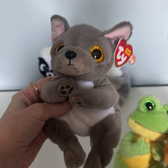 TY Beanie Bellies NWT Bundle Dogs Frog Skunk Koala - Picture 6 of 9